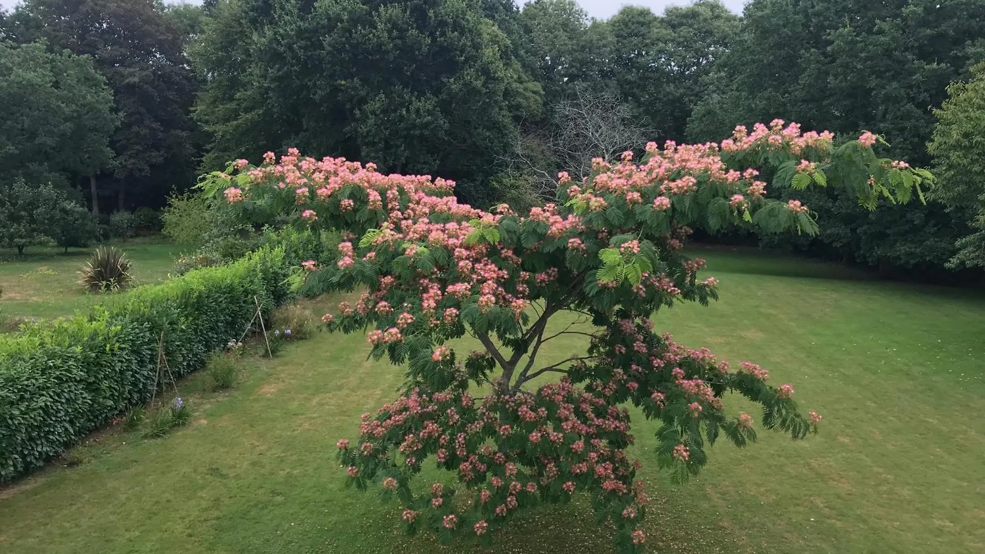 Semesterbostad Jolie Maison De Vacances Avec Une Vue Magnifique Sur Le Jardin Combrit